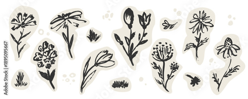 Hand-drawn flowersSet of flowers, leaves, floral stems. Wild plants drawing with grunge brush. Black and white botanical elements. Vector illustration.