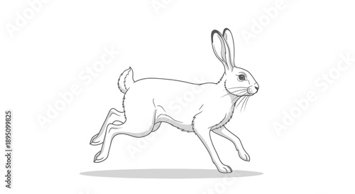 Dynamic white rabbit illustration in a running pose, clean line art.