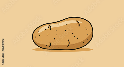Simple cartoon illustration of a fresh potato.