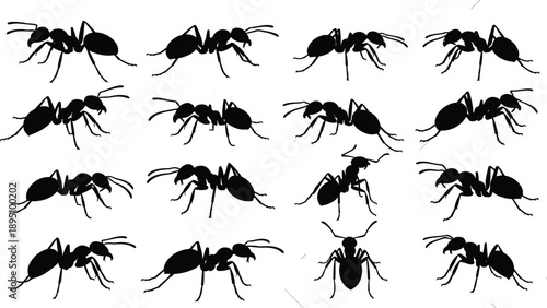 Black ant silhouettes collection, isolated insect vector illustration set showing multiple ant poses for nature, biology, pest control, education, design use