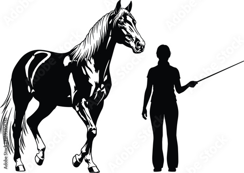 Silhouette woman training horse, equestrian handler guiding stallion, black vector illustration of professional horse training isolated on white background for stock use
