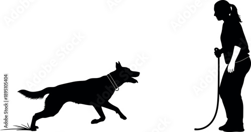 Silhouette of a Professional Female Dog Trainer Working with a German Shepherd (Canis lupus familiaris) | Obedience Training, K9 Handling, and Domestic Pet Behavior Coaching.