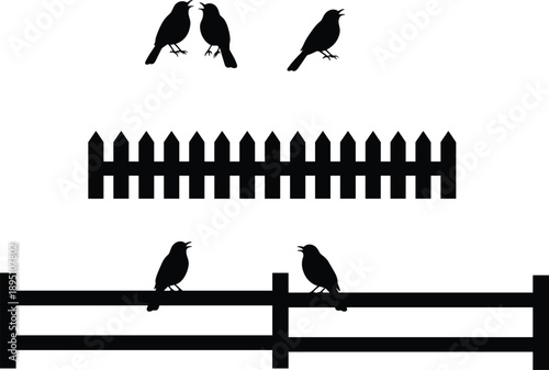 Bird silhouettes on fences, perched birds, picket fence, rail fence, nature scene, wildlife illustration, avian design, black silhouettes, white background, minimal art
