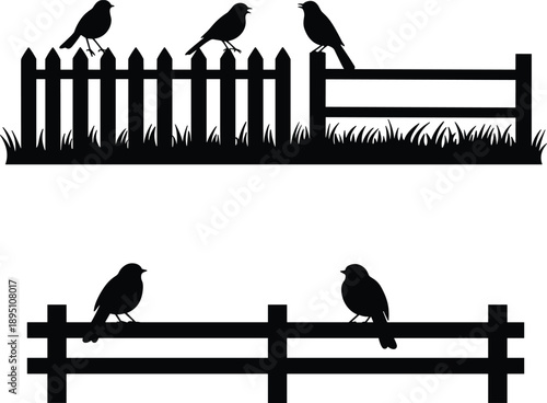 Bird silhouettes, perched birds, fence silhouettes, picket fence, rail fence, nature scene, wildlife vector, 