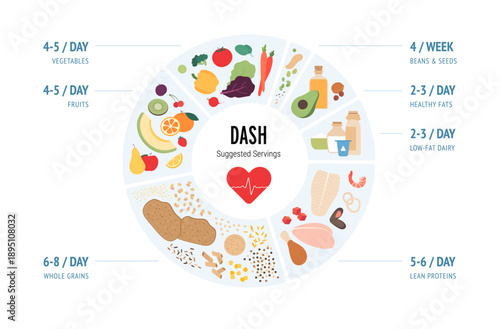 DASH diet and healthy lifestyle infographic. Food plate vector flat illustration. Symbols of various food groups in circle shape frame. Serving per day. Design for health and nutritional education.