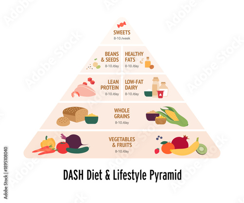 DASH diet and healthy lifestyle infographic. Food pyramid vector flat illustration. Symbols of various food groups in circle shape frame. Design for health and nutritional education.