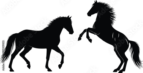 Two black horse silhouettes, standing and rearing, dynamic equine posture, detailed mane and tail, vector illustration, dramatic animal design, isolated on white background