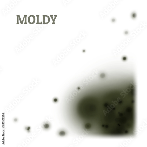 Black moldy texture. Fungus, wall of an apartment or house, toxic spores. Toxic health effects. Spot in the corner on a light background. Vector