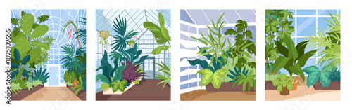 Botanical garden interior, greenhouse with tropical plants poster cards set. Jungle greenery and summer forest vegetation with green leaves and flowers inside glasshouses cartoon vector illustration