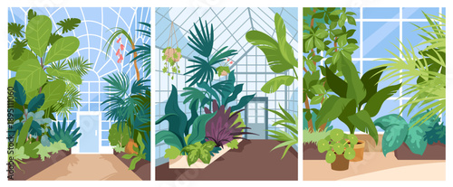 Botanical garden interior, greenhouse with tropical plants poster cards set. Jungle greenery and summer forest vegetation with green leaves and flowers inside glasshouses cartoon vector illustration
