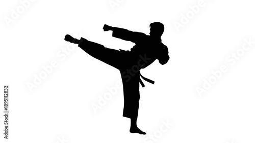 Martial artist in kick pose silhouette on white background