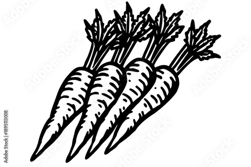 A clear black and white line art illustration showcasing four wholesome carrots with their long, leafy green tops, meticulously arranged in an appealing diagonal pattern.