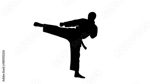 Karate kick silhouette: dynamic martial arts pose in black outline