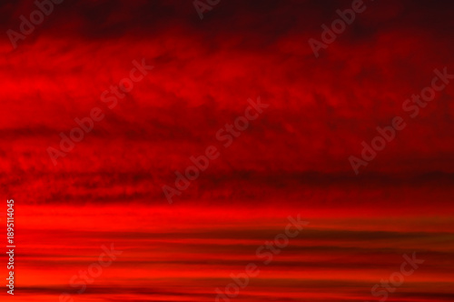 Red clouds in the sky. Summer sunset. Background