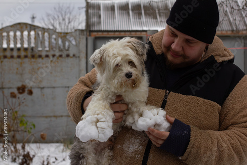 Tableau sur toile A dog with snow stuck to its paws after a walk