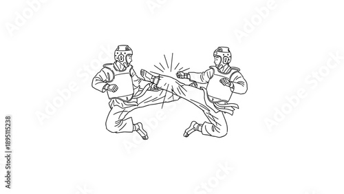 Dynamic taekwondo sparring with high kick and punch in linear style
