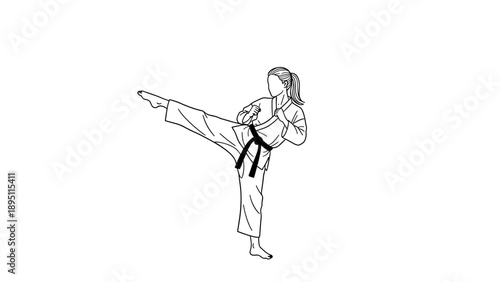 Karate pose: dynamic black belt kick in linear style