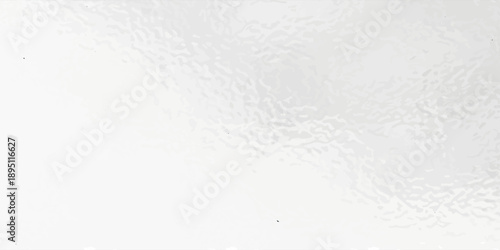 Abstract blurred background. The shadow reflection of leaves and gray light lines. on the white surface concrete wall. for wallpaper, backdrop and design.