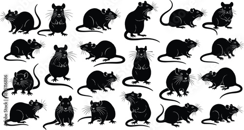 Black Rat Silhouette Vector Collection Featuring Various Rodent Poses Standing Sitting and Walking Isolated Icons for Wildlife Graphic Design Elements