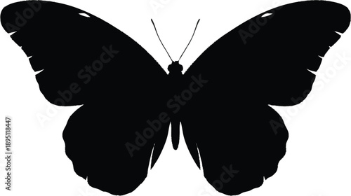 Black silhouette butterfly isolated on a transparent background, side view, realistic, detailed nature illustration