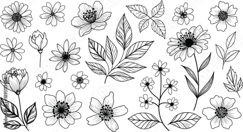 black and white flowers