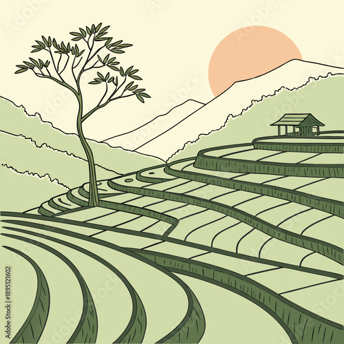 Serene rice terraces at sunset