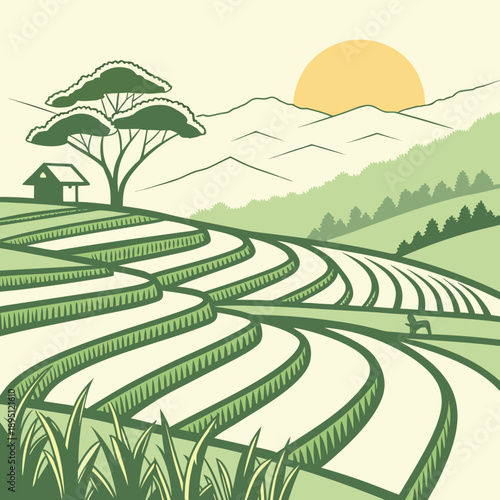 Serene rice terraces at sunset