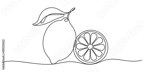 Continuous line art drawing of a fresh lemon and a lemon slice on a white background Vector, illustration