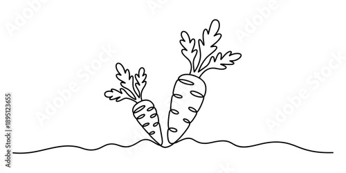 Continuous line drawing of two carrots in the ground, minimalist vegetable illustration Vector, illustration