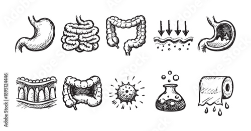 Hand-drawn sketches on white showcasing human gut health, including stomach, intestines, colon, absorption process, virus, chemicals, and hygiene. Good for health and wellness promotions.
