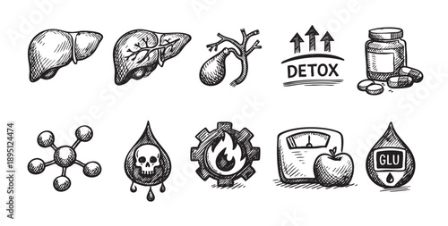 A black and white hand-drawn sketch set illustrates detoxification concepts, featuring liver, gallbladder, detox arrows, pills, molecules, toxins, metabolism, weight and glucose.