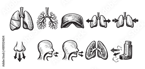 A collection of simple black and white line drawings illustrating the human respiratory system, including lungs, diaphragm, and an inhaler, with arrows showing air intake and exhalation.