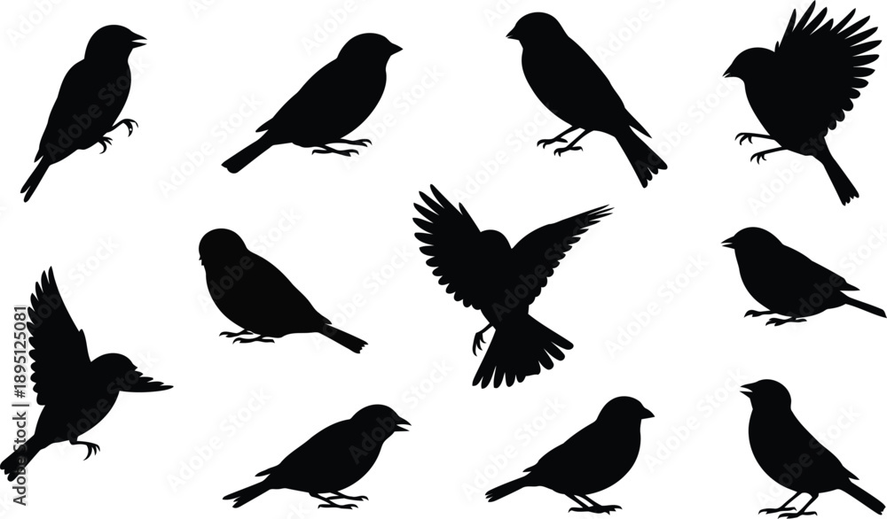Fototapeta premium Group of small black bird silhouettes in various poses like flying and perching