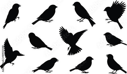 Group of small black bird silhouettes in various poses like flying and perching