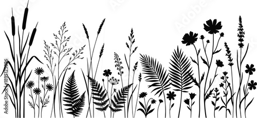 Wild plant and flower silhouette vector set featuring grasses, cattails, ferns, daisies, botanical outlines, black nature elements for landscape, biodiversity, and creative design projects