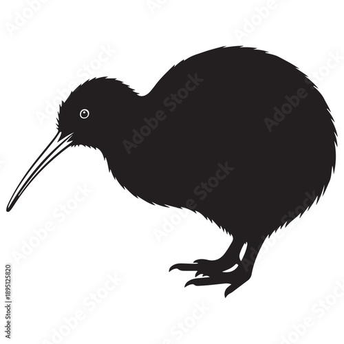 Black Kiwi Bird Silhouette Isolated on White Background