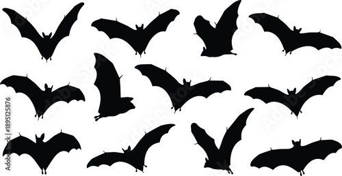 Silhouette set of flying bats in multiple wing positions, nocturnal wildlife mammal collection illustration isolated on white background halloween night nature