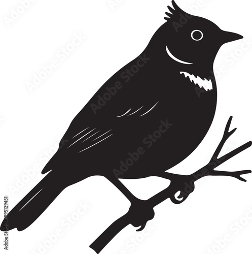 Horned Lark on mini branch on in silhouette white background.