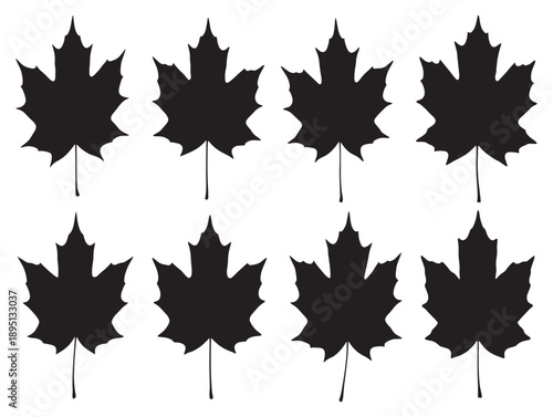 Silhouettes of canadian maple leaves arranged in a repeating pattern on a white background
