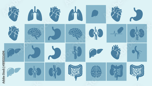 Human Anatomy Icons: Organs Set - Heart, Lungs, Brain, Stomach, Liver, Kidneys, Intestines