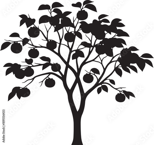 Persimmon fruit tree silhouette with heavy round fruits and lush canopy ideal for organic farming concepts autumn harvest themes and botanical garden graphic designs on white background