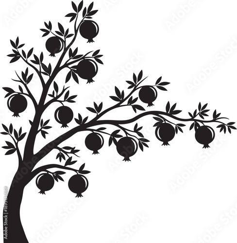 Pomegranate fruit tree branch silhouette with heavy round fruits and pointed leaves ideal for organic farming concepts mediterranean food themes and botanical garden graphic designs