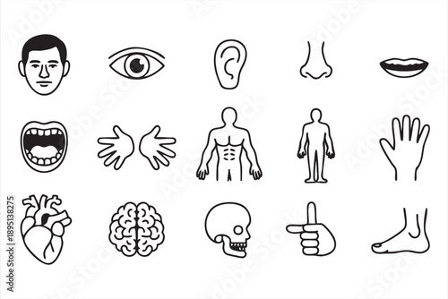 Human Anatomy and Body Parts Line Icons Set