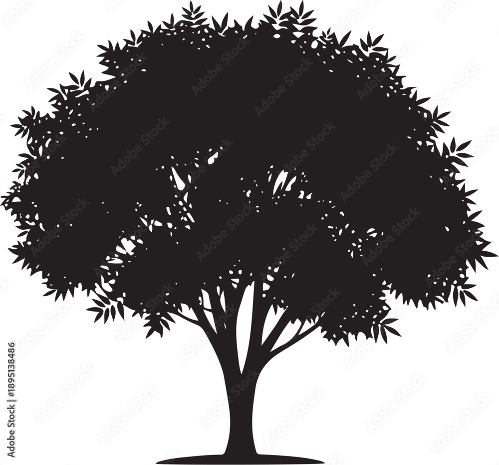 Fototapeta premium Black and white vector silhouette of a generic leafy deciduous tree featuring a dense round canopy and slender trunk isolated on a plain white background for design
