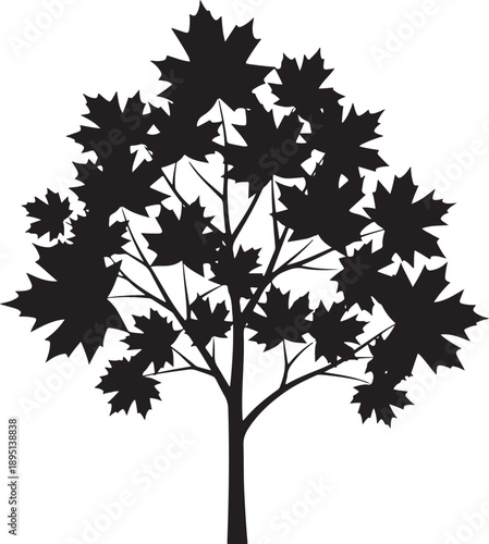 Black maple tree silhouette with detailed organic leaf shapes and elegant branches ideal for nature conservation themes environmental designs and seasonal autumn graphic projects isolated graphic