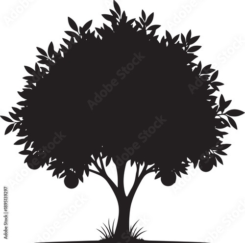 A black and white vector silhouette of a lush orange tree featuring a round leafy canopy and hanging fruits isolated on a clean white background