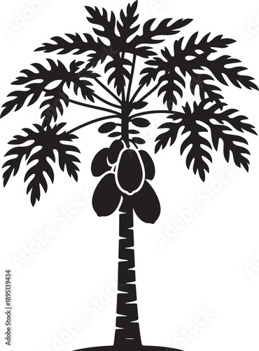 A black and white vector silhouette of a tropical papaya tree featuring large palm like leaves and hanging fruits isolated on a clean white background