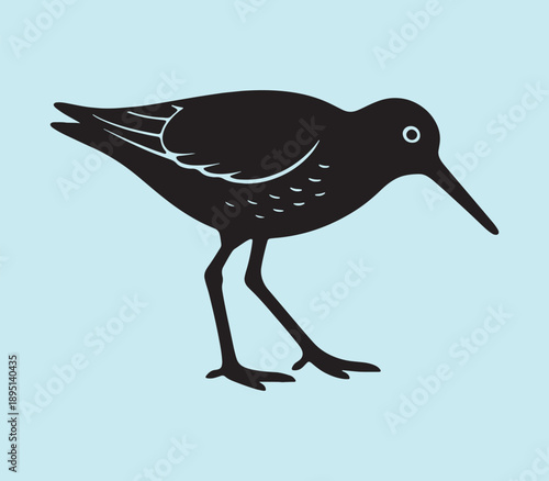 Sandpiper The Energetic Shorebird of Coastal Beaches and Wetlands vector silhouettes illustration design 