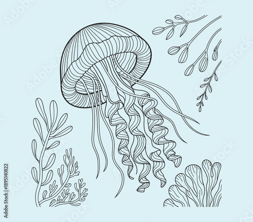 Water Jellyfish The Ethereal and Transparent Wonders of the Deep Blue Ocean vector silhouettes illustration design 