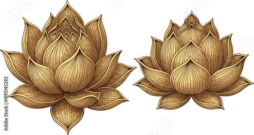 Golden lotus flower pair illustration, layered petals with fine lines and shading, elegant spiritual symbol, vintage vector artwork